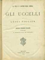 L' Orlando Furioso - L. Ariosto - Ed. G. Nerbini - Ludovico Ariosto - Libro  Usato - G. Nerbini 