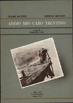 Addio mio caro Trentino