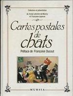 Cartes postales de chats