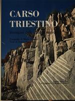 Carso triestino