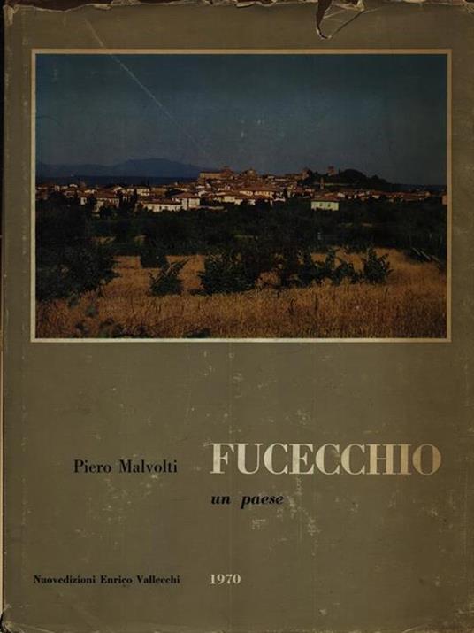 Fucecchio un paese - Piero Malvolti - 3