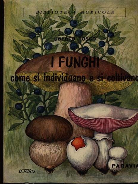 I funghi - Uberto Tosco - 3