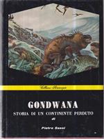 Gondwana. Storia di un continente perduto