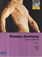 Human Anatomy