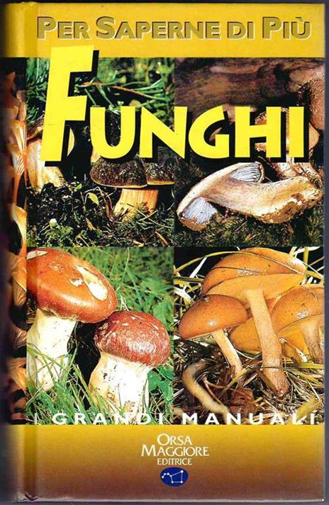 Funghi - Giovanni Pacioni - 3