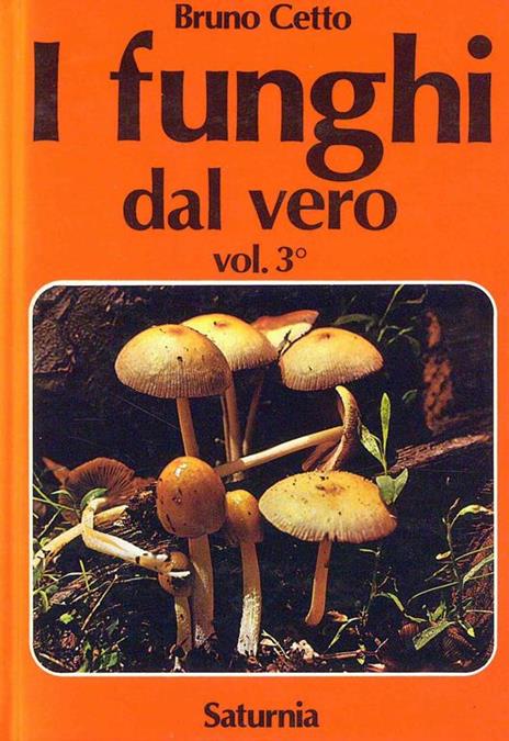 I Funghi dal vero Vol. 3 - Bruno Cetto - 3