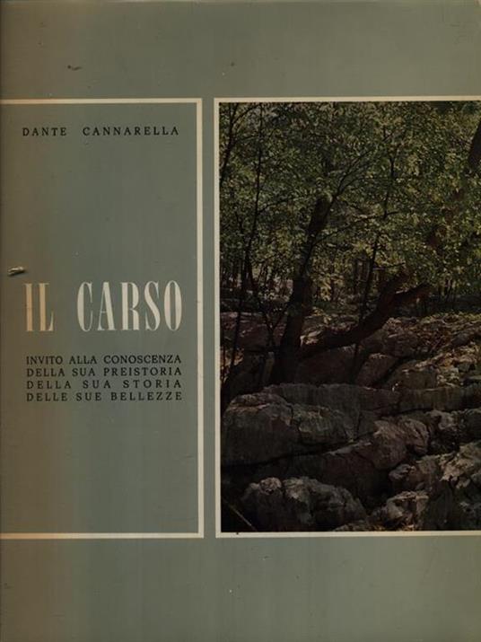 Il Carso - Dante Cannarella - 2