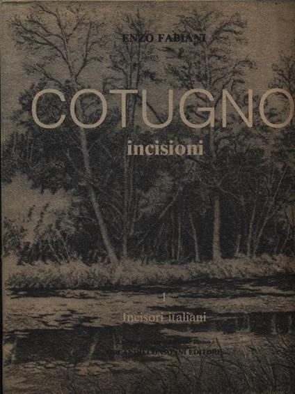 Cotugno incisioni - Enzo Fabiani - copertina