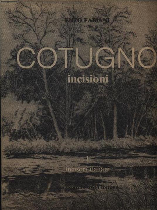 Cotugno incisioni - Enzo Fabiani - copertina