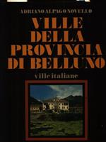 Ville della provincia di Belluno