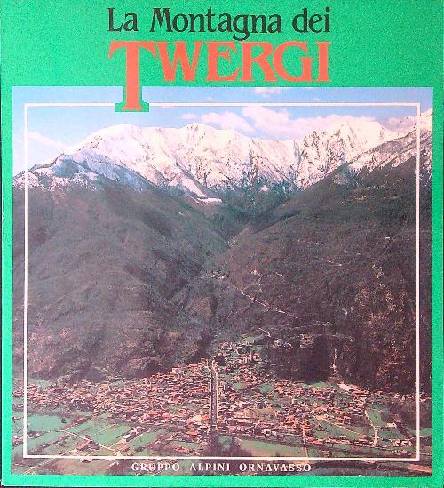 La montagna dei Twergi - copertina