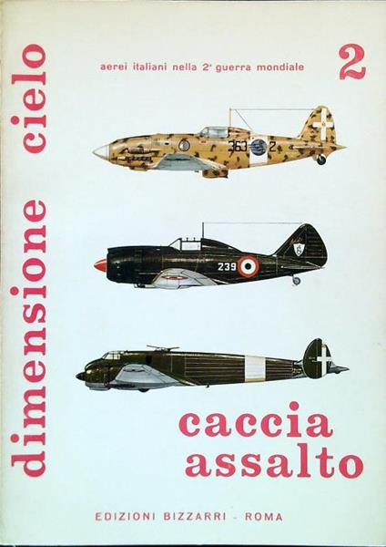 Arei italiani nella 2 Guerra Mondiale. Caccia assalto 2 - copertina