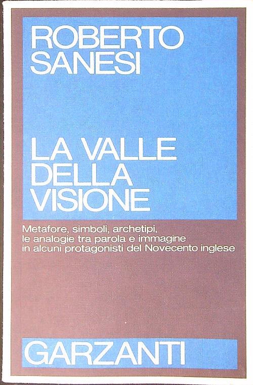 La valle della visione - Roberto Sanesi - copertina