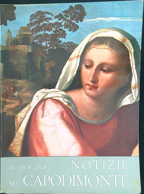 Notizie su Capodimonte - copertina