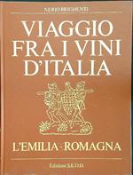 Viaggio fra i vini d'Italia