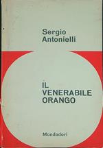 Il venerabile Orango