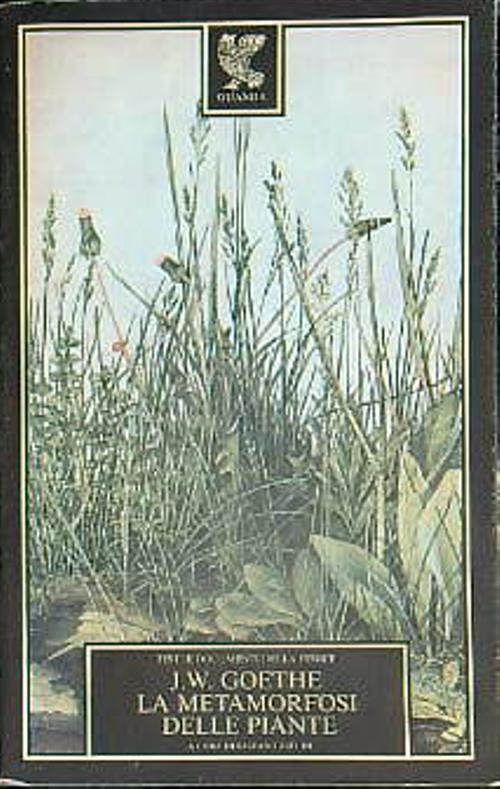 Le metamorfosi delle piante - J.W. Goethe - Libro Usato - Guanda - testi e  documenti della fenice | IBS