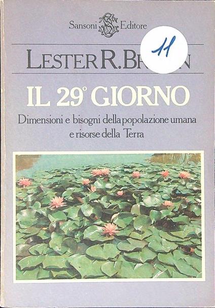 Il  29 giorno - Lester R. Brown - copertina