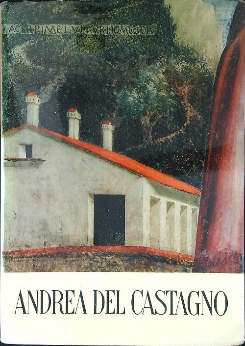 Andrea del Castagno - Mario Salmi - copertina