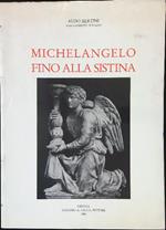 Michelangelo fino alla Sistina