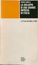 Lo sviluppo di una grande impresa in Italia