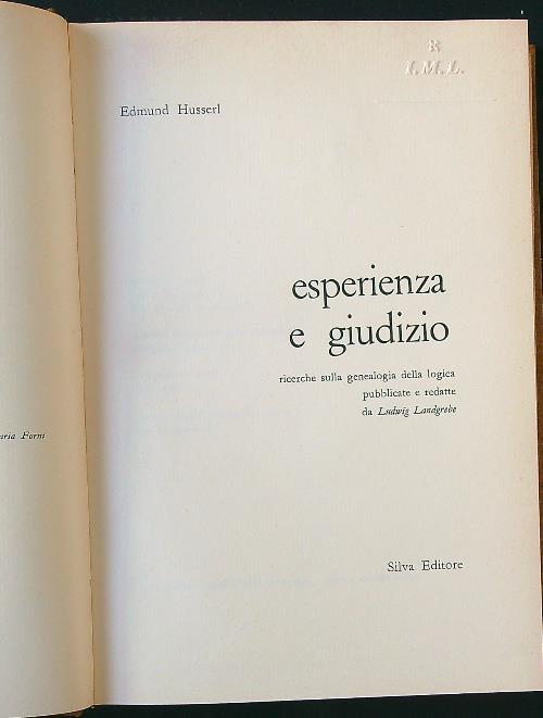 Esperienza e giudizio - Edmund Husserl - copertina