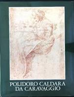 Polidoro Caldara da Caravaggio