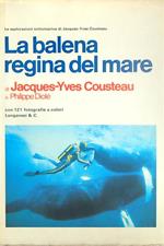 La balena regina del mare