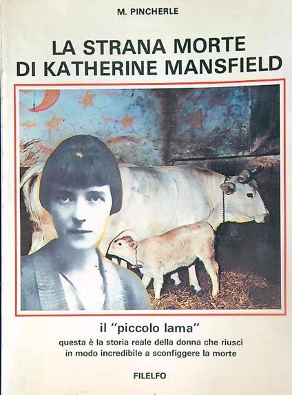 La strana morte di Katherine Mansfield. Il piccolo lama - Mario Pincherle - copertina