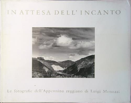 In attesa dell'incanto - Luigi Menozzi - copertina