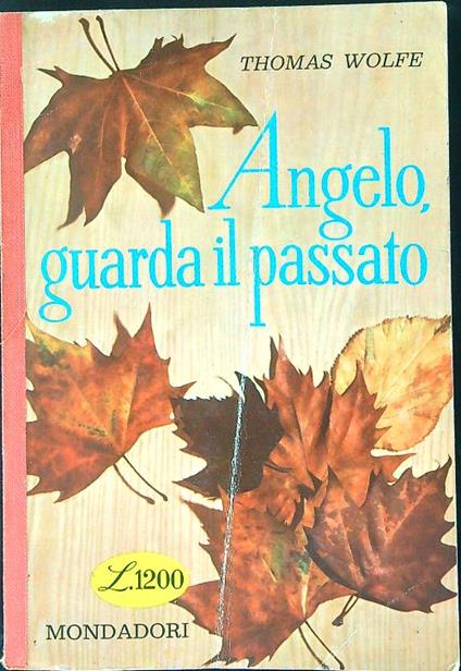 Angelo guarda il passato - Thomas Wolfe - copertina