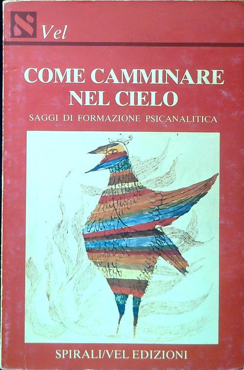 Come camminare nel cielo - copertina