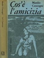 Cos'é L'Amicizia