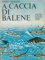 A caccia di balene