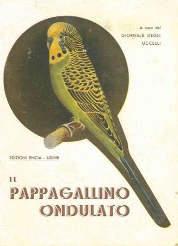 Il pappagallino ondulato - copertina