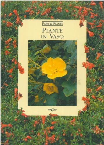 Piante in vaso - copertina