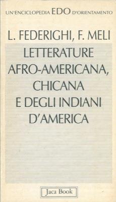 Letterature afro-americana, chicana e degli indiani d'America - Luciano Federighi,Francesco Meli - copertina