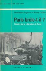 Paris brule-t-il?. Histoire de la liberation de Paris