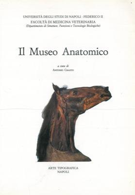 Il Museo Anatomico - Antonio Crasto - copertina