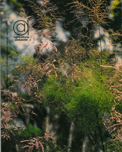 Agricoltura ambiente. Anno I. Numero 2 - Paolo Giordano - copertina