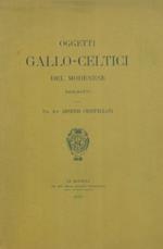 Oggetto gallo celtici del modenese