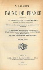 Thysanoures, Myriopodes, Arachnides, Crustacés, Némathelminthes, Lephostomeés, Vers, Mollusques, Polypes, Spongiaires, Protozoaires. (Faune de France 