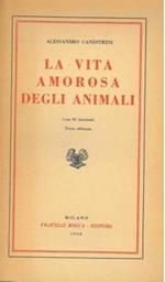 La vita amorosa degli animali