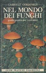 Nel mondo dei funghi. Guida pratica per i cercatori