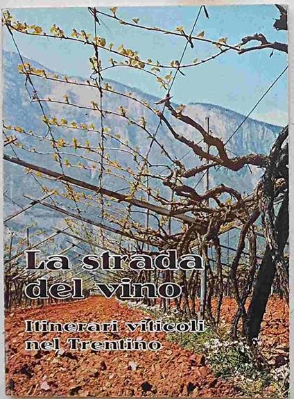 La strada del vino. Itinerari viticoli nel Trentino - Silvio Ducati,F. Tonon - copertina