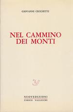 Nel cammino dei monti