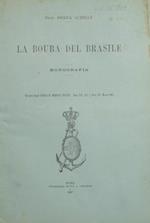 La bouba del Brasile. Monografia