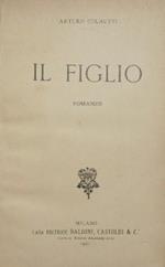 Il figlio. Romanzo