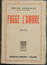 Fugge l'amore. Romanzo