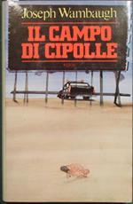 Il campo di cipolle